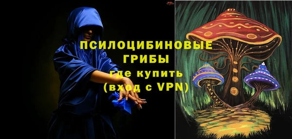 apvp Алзамай