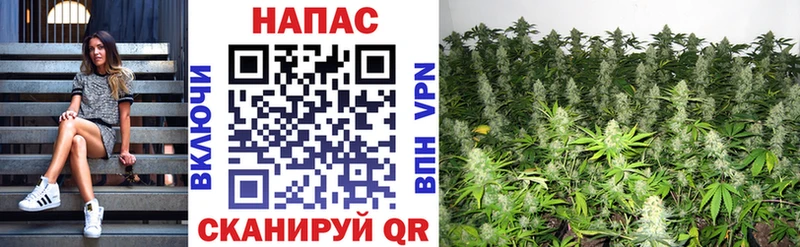 наркота  Новомичуринск  Марихуана VHQ 